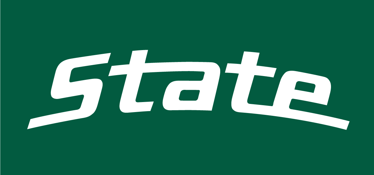 Michigan State Spartans 0-Pres Wordmark Logo v2 diy iron on heat transfer